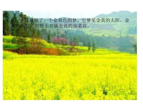 领域的寓言