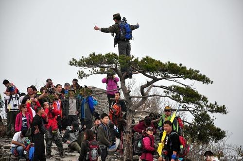 一句话无耻