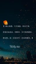 优雅的句子