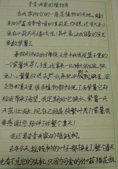 齐玉轩港