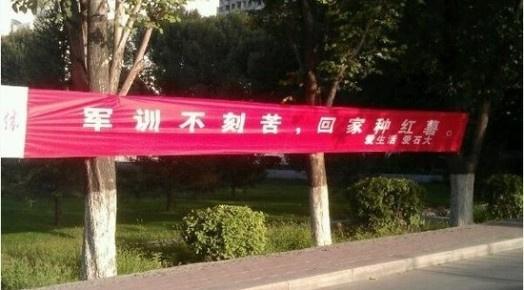 欢迎口号