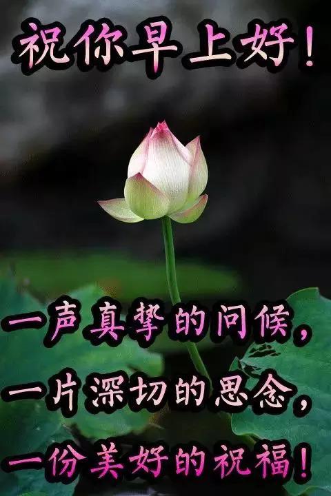 下午的祝福