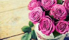 唯美的句子摘抄大全带图片【精选100句】