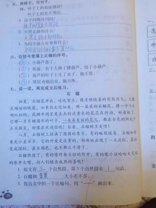 兔子的比喻