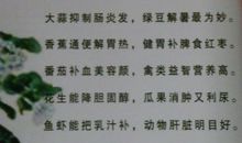 食物的谚语英文