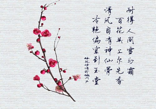 梅花写具象句