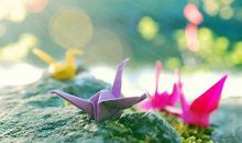 唯美的句子说说心情图片:岁岁年年,我都属于你,永远永远