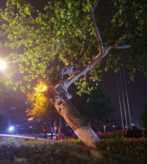 安静的夜晚句子