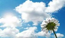 文艺的朋友圈句子