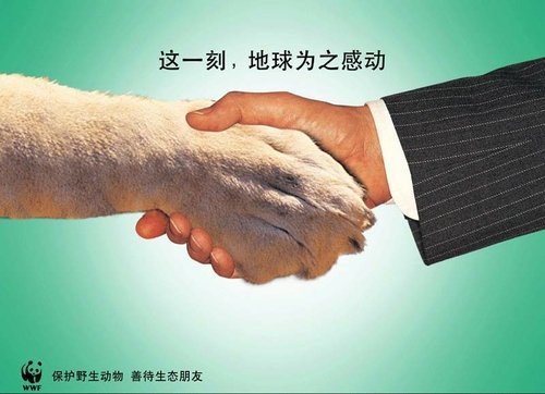 动物保护刑