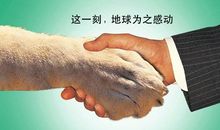 保护动物的句子