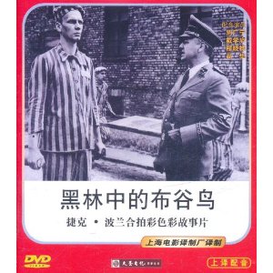 布谷鸟的拟人化
