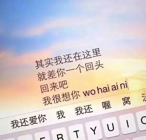 回家句子