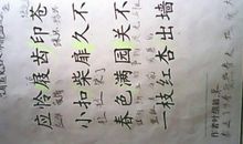 写一段描写春雨的话