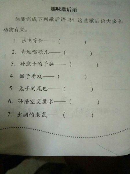 平衡的老鼠