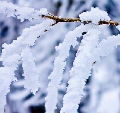 雪古诗句