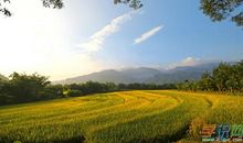 关于田园风光的谚语