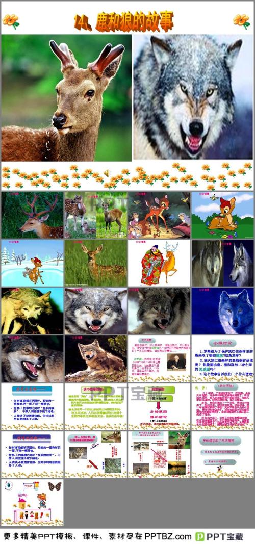 狼和鹿的寓言