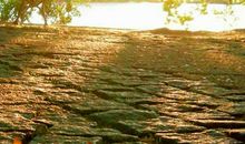 阳光岁月唯美句子，阳光岁月静好的说说