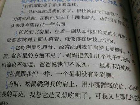 描述舞蹈的寓言