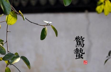 令人震惊的太阳谚语