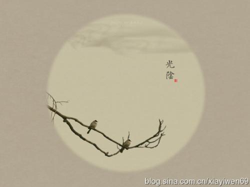 爱禅行情
