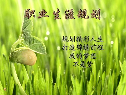 未来生活的祝福