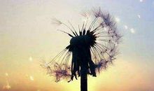 人生虽有遗憾,但失去也是成长