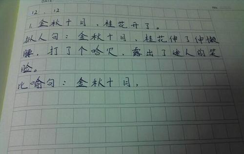 关于速度的比喻
