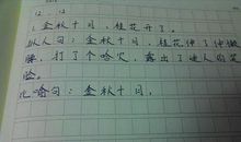 关于速度的比喻句