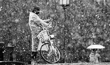 人生不是晴空万里,总会有风雨不期而至