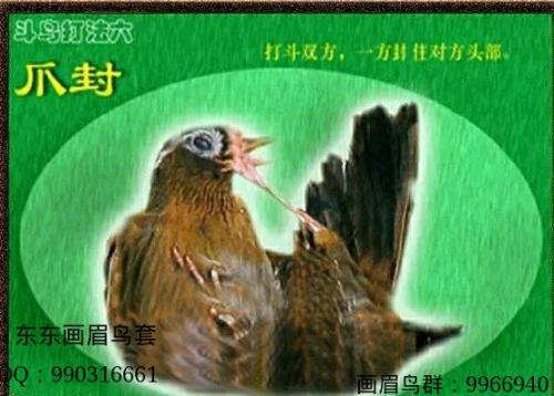 鹅口疮拟人化句子