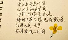 你是人间四月天经典语录