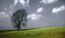 描写雨后的心情