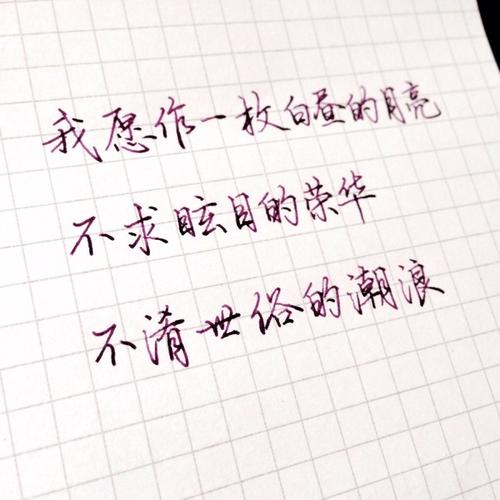 爱情告白语录
