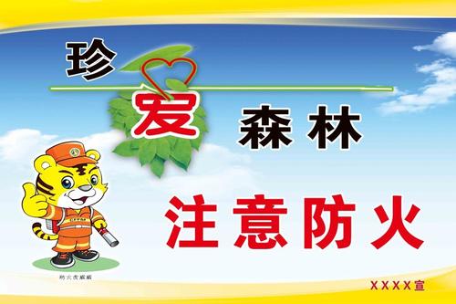 学校森林防火口号