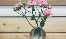 祝福孩子快乐成长的唯美句子