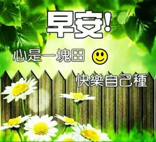 早安爱的讯息