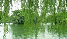 乡村景色的比喻句