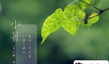 有关大暑节气的谚语