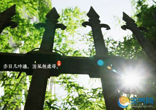 大夏节气的谚语