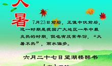 有关大暑的农业谚语