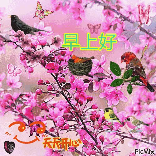 早春早安问候