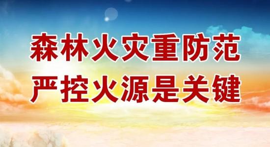 学校森林防火口号