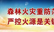 学校森林防火标语