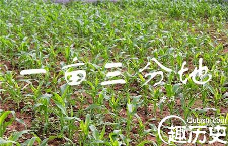 耕作谚语
