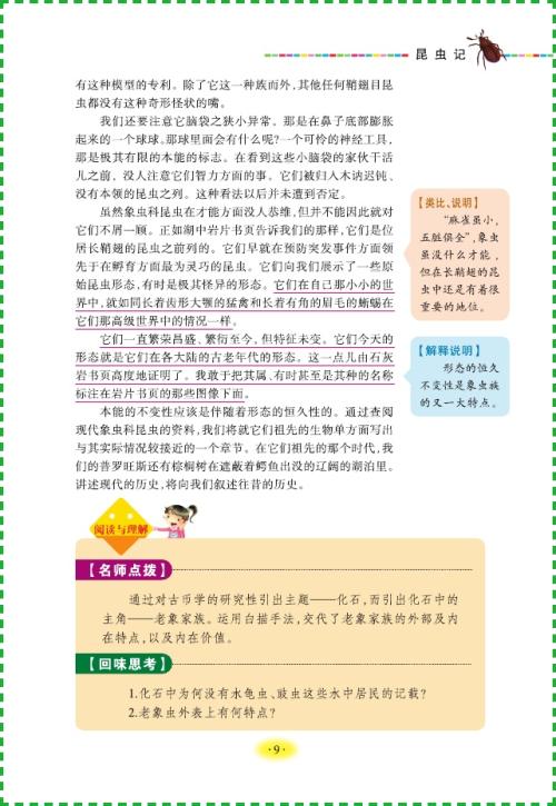 昆虫经典句子