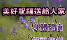 冬天夜晚的句子