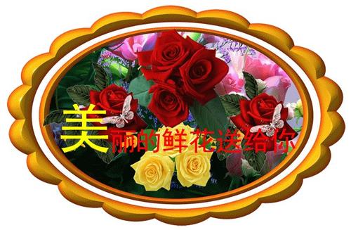 一句话中的花