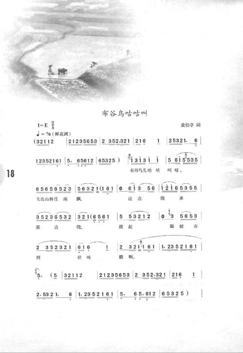 杜鹃拟人化